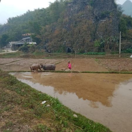 Truong Huy Homestay Mai Châu Dış mekan fotoğraf