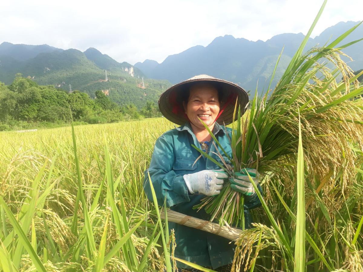 Truong Huy Homestay Mai Châu Dış mekan fotoğraf