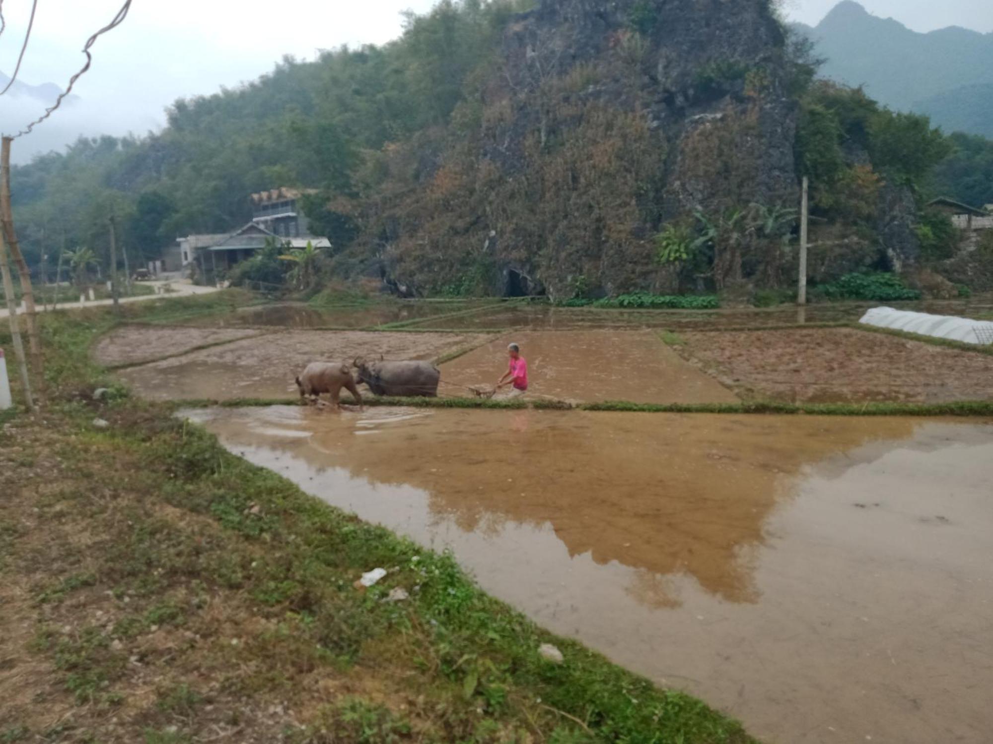 Truong Huy Homestay Mai Châu Dış mekan fotoğraf
